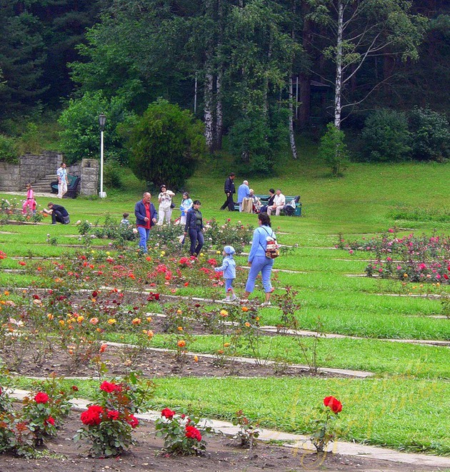 Долина роз, Кисловодск © Лариса Долина роз, Кисловодск © Лариса